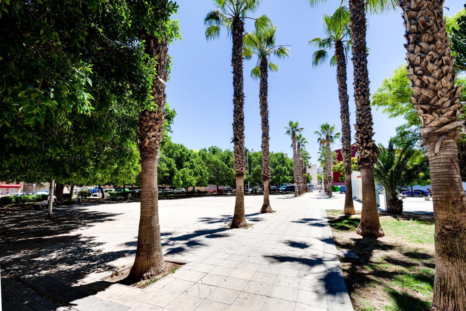 Revente - Appartement -
Torrevieja - Centro