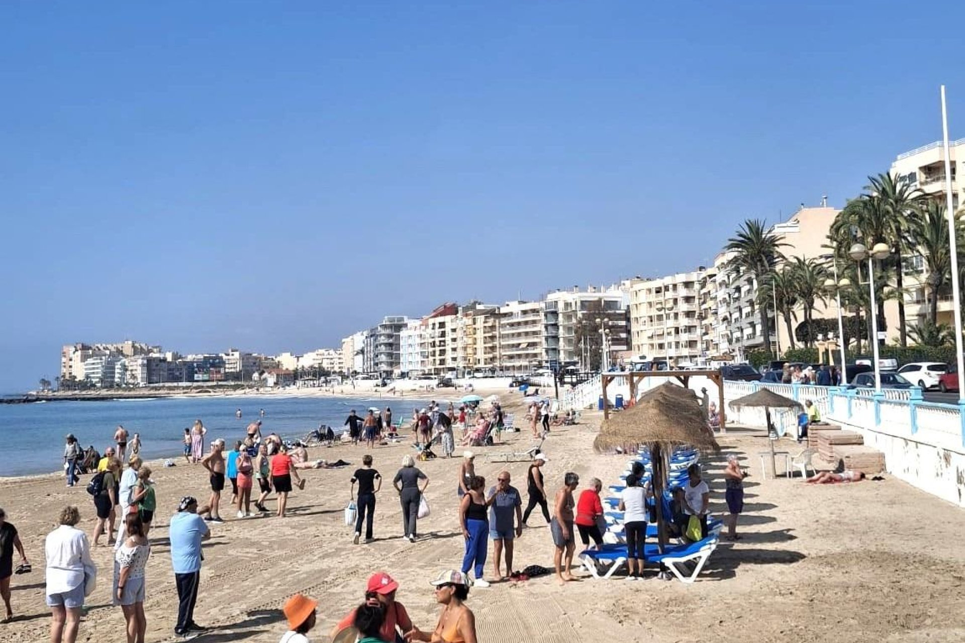 Revente - Appartement -
Torrevieja - Centro