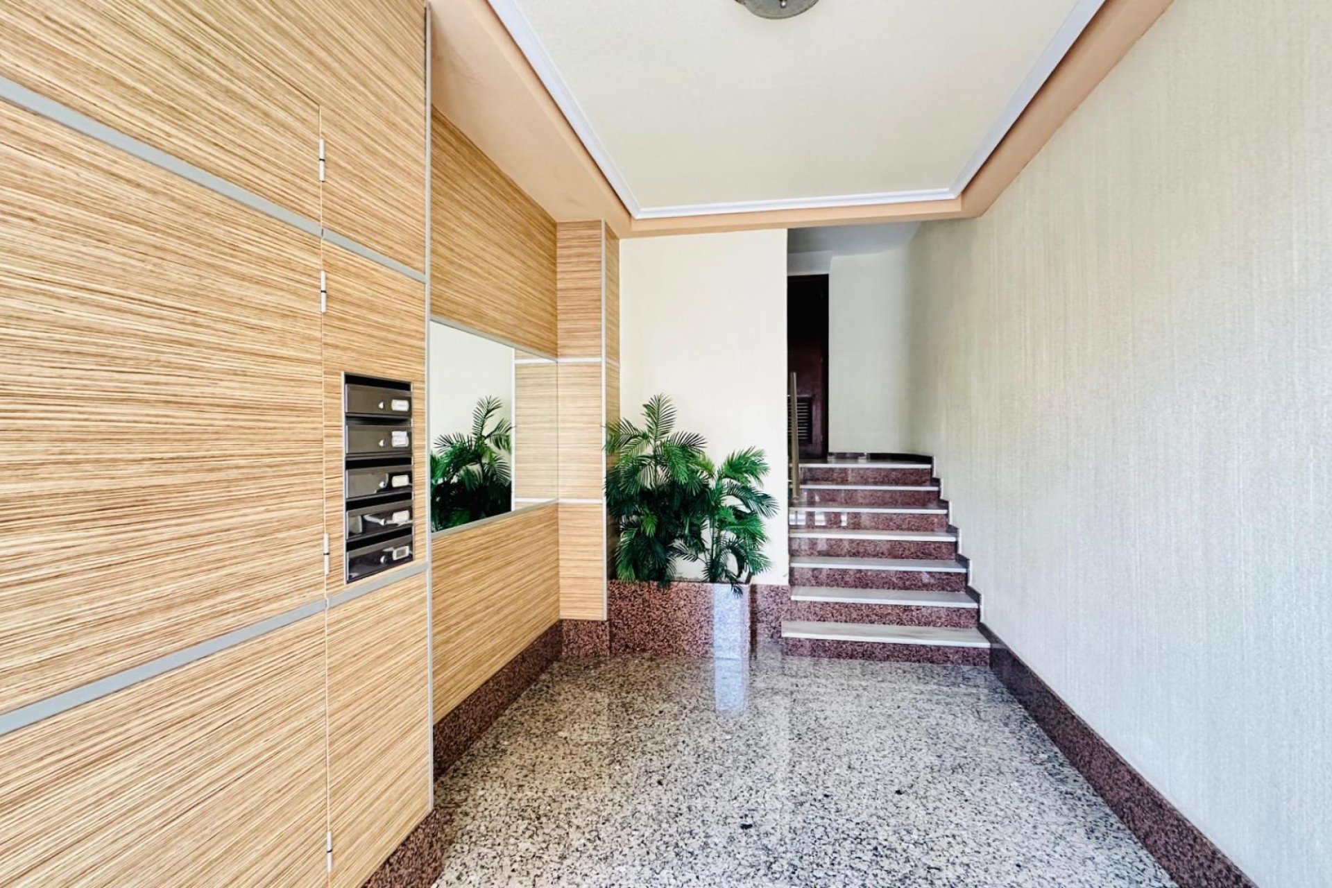 Revente - Appartement -
Torrevieja - Centro