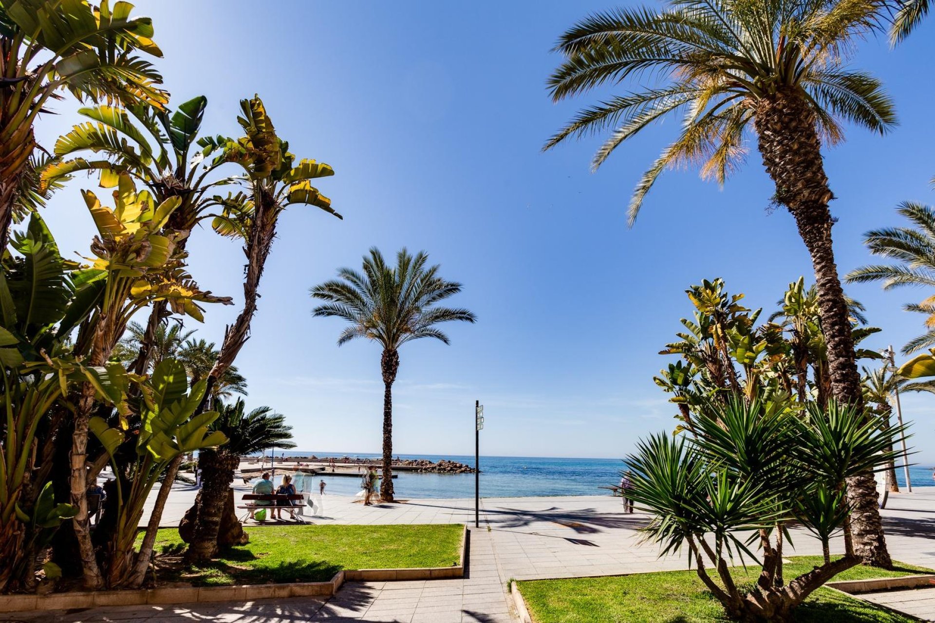 Revente - Appartement -
Torrevieja - Centro