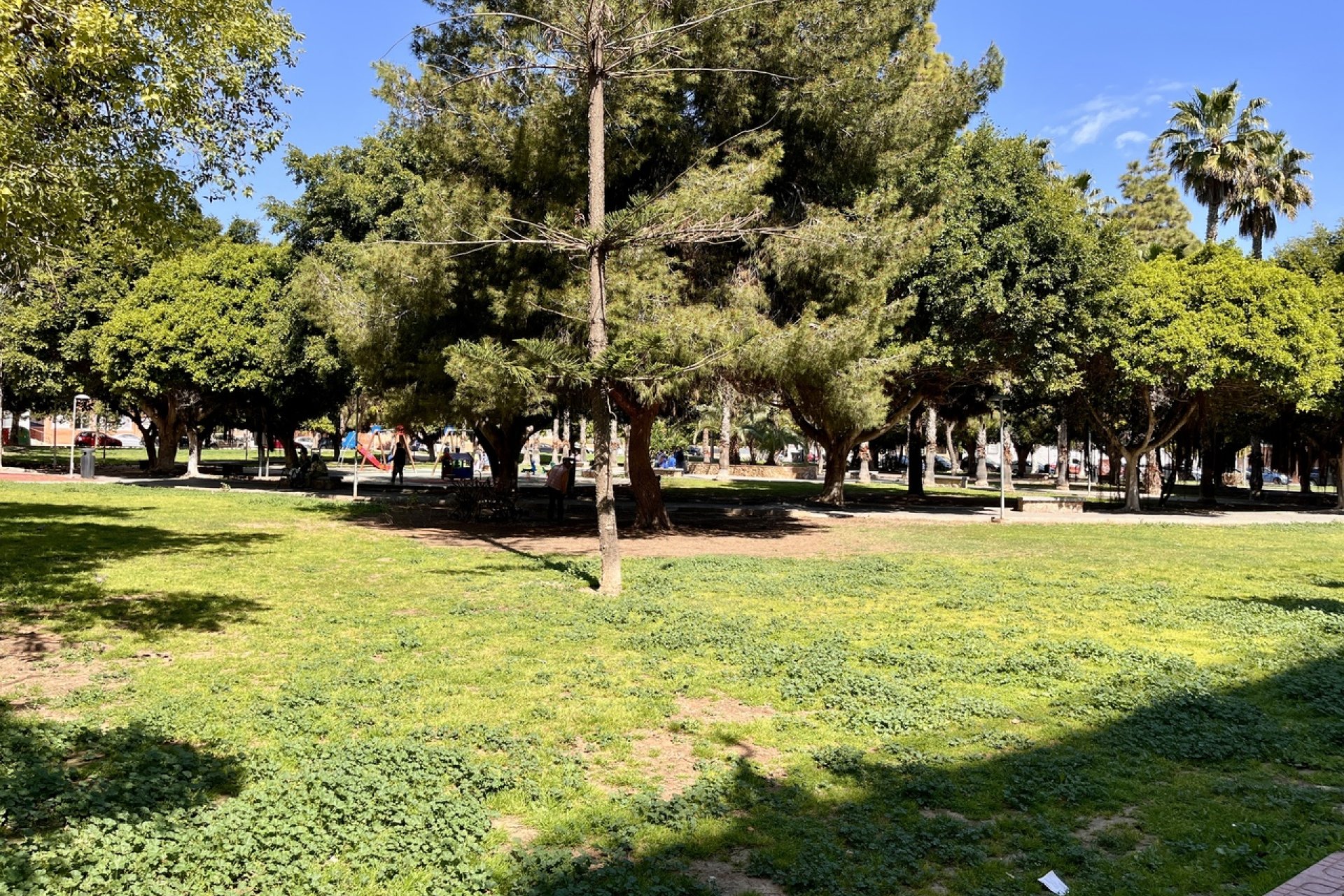 Revente - Appartement -
Torrevieja - Costa Blanca