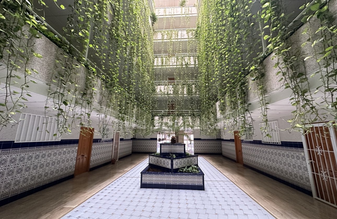 Revente - Appartement -
Torrevieja - Costa Blanca