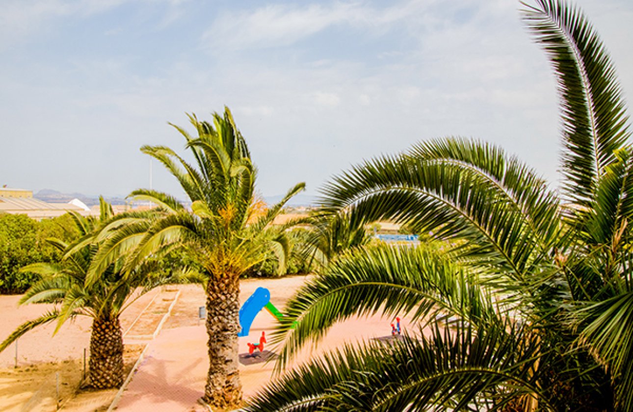 Revente - Appartement -
Torrevieja - Costa Blanca