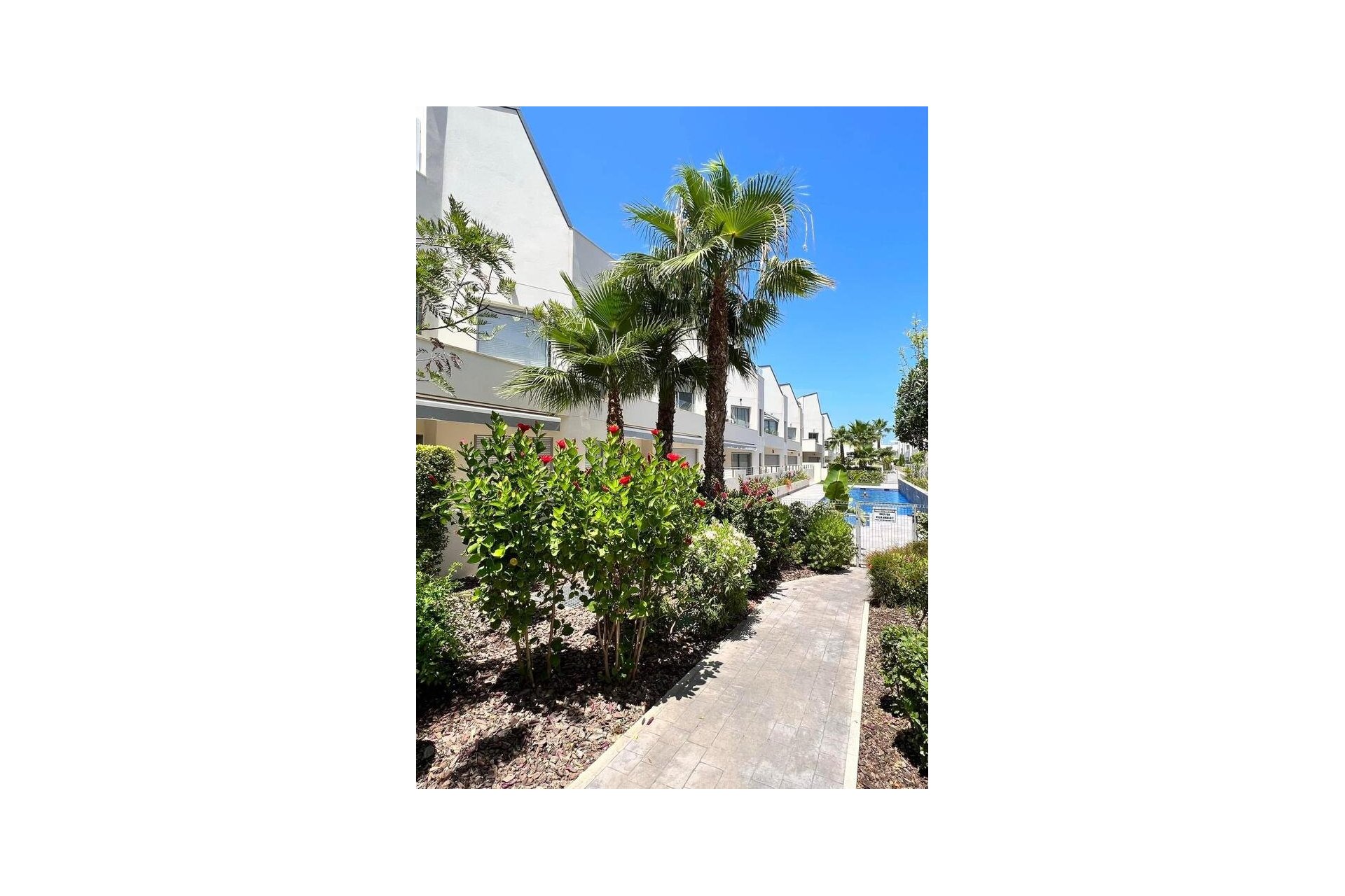 Revente - Appartement -
Torrevieja - Costa Blanca