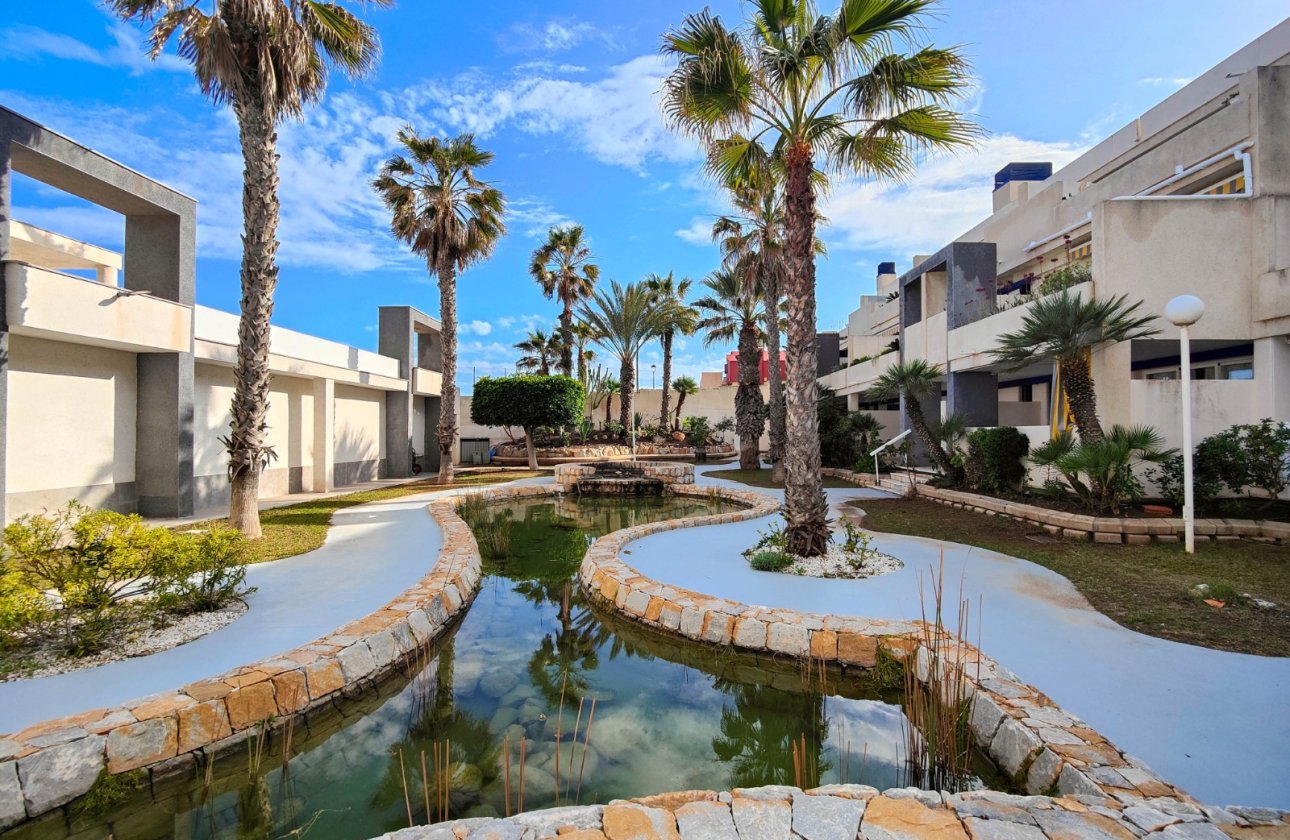 Revente - Appartement -
Torrevieja - Costa Blanca