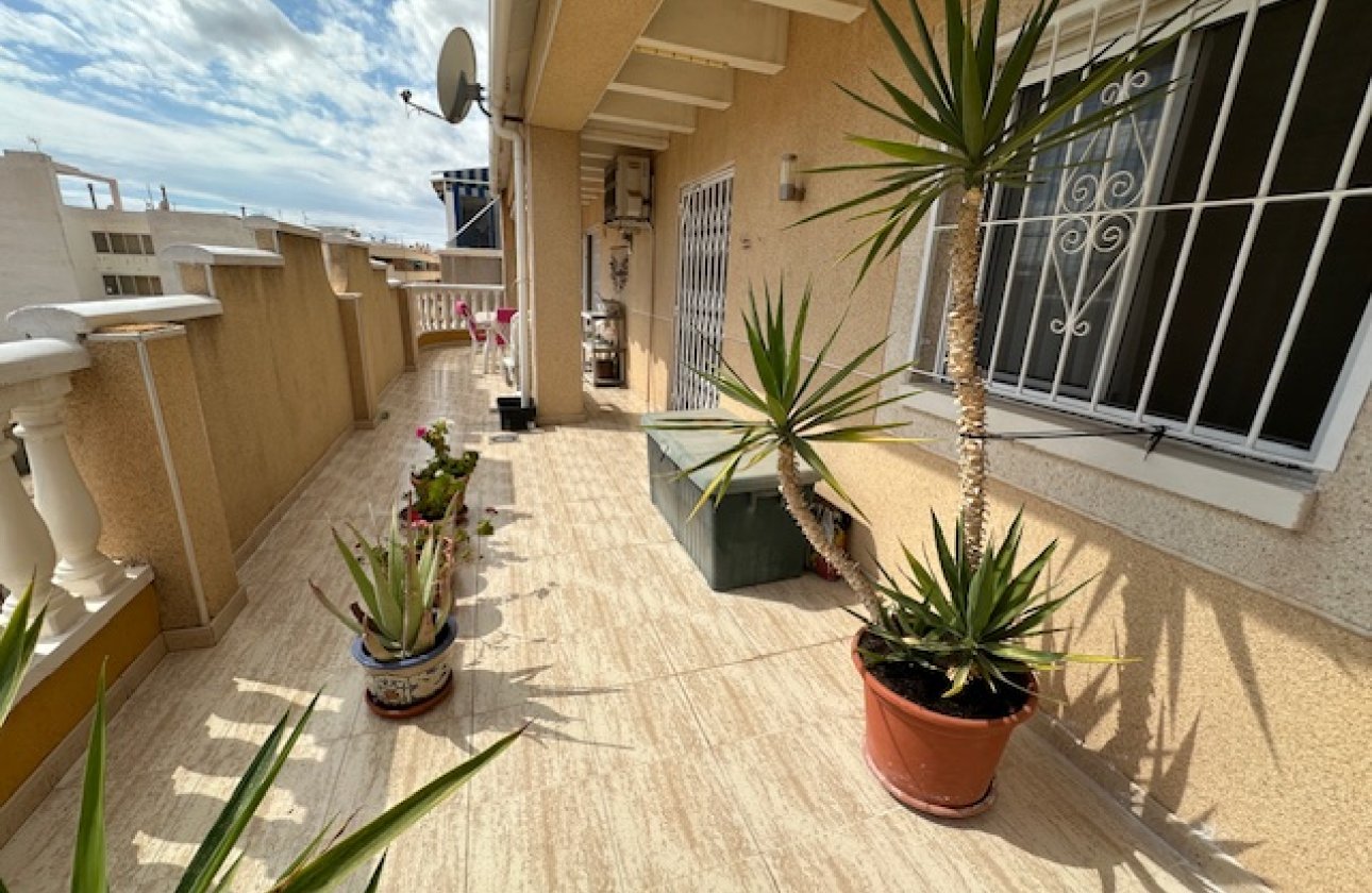 Revente - Appartement -
Torrevieja - Costa Blanca