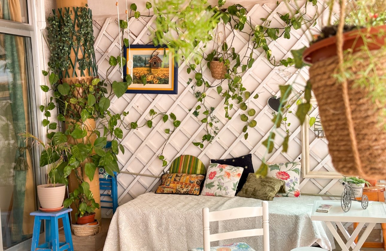 Revente - Appartement -
Torrevieja - Costa Blanca