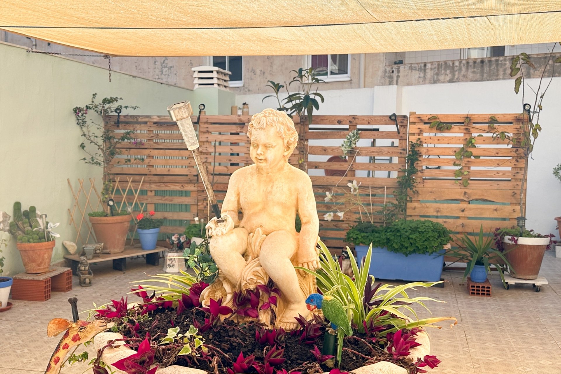 Revente - Appartement -
Torrevieja - Costa Blanca