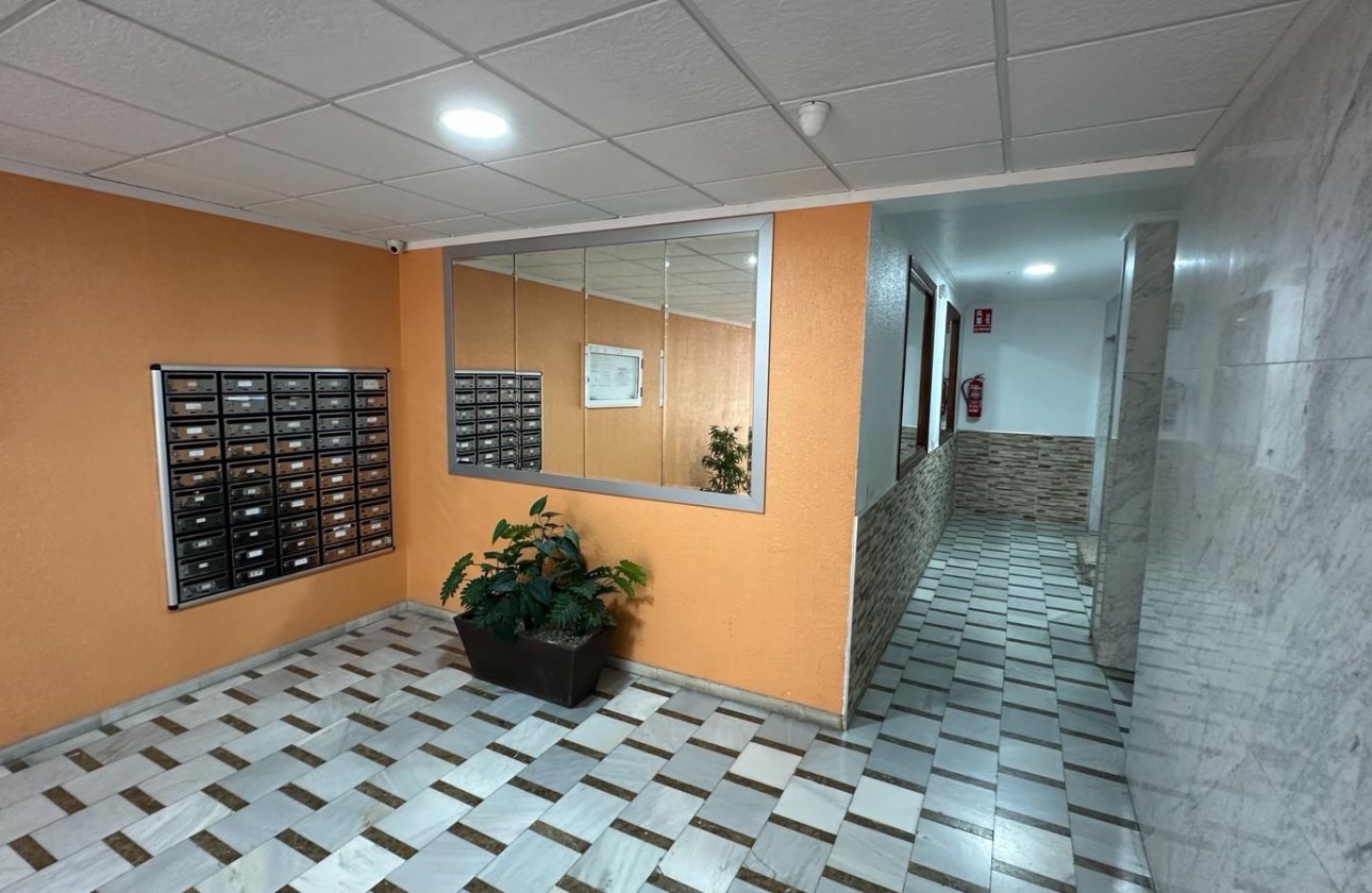 Revente - Appartement -
Torrevieja - Costa Blanca