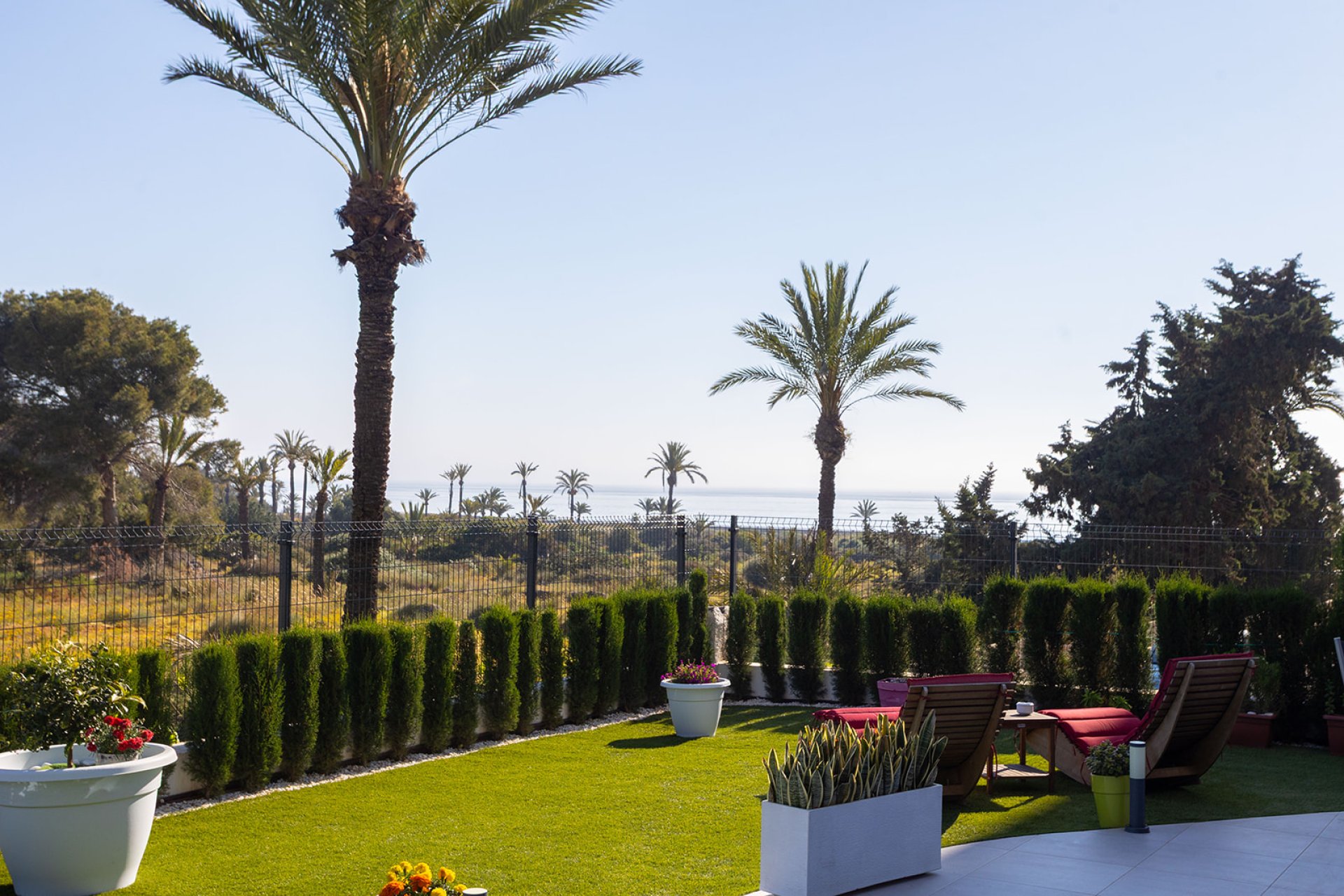 Revente - Appartement -
Torrevieja - Costa Blanca