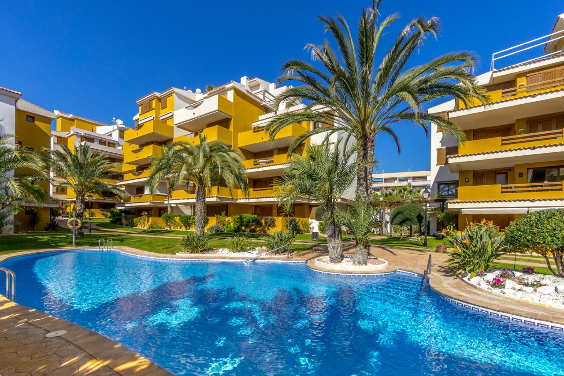 Revente - Appartement -
Torrevieja - Costa Blanca