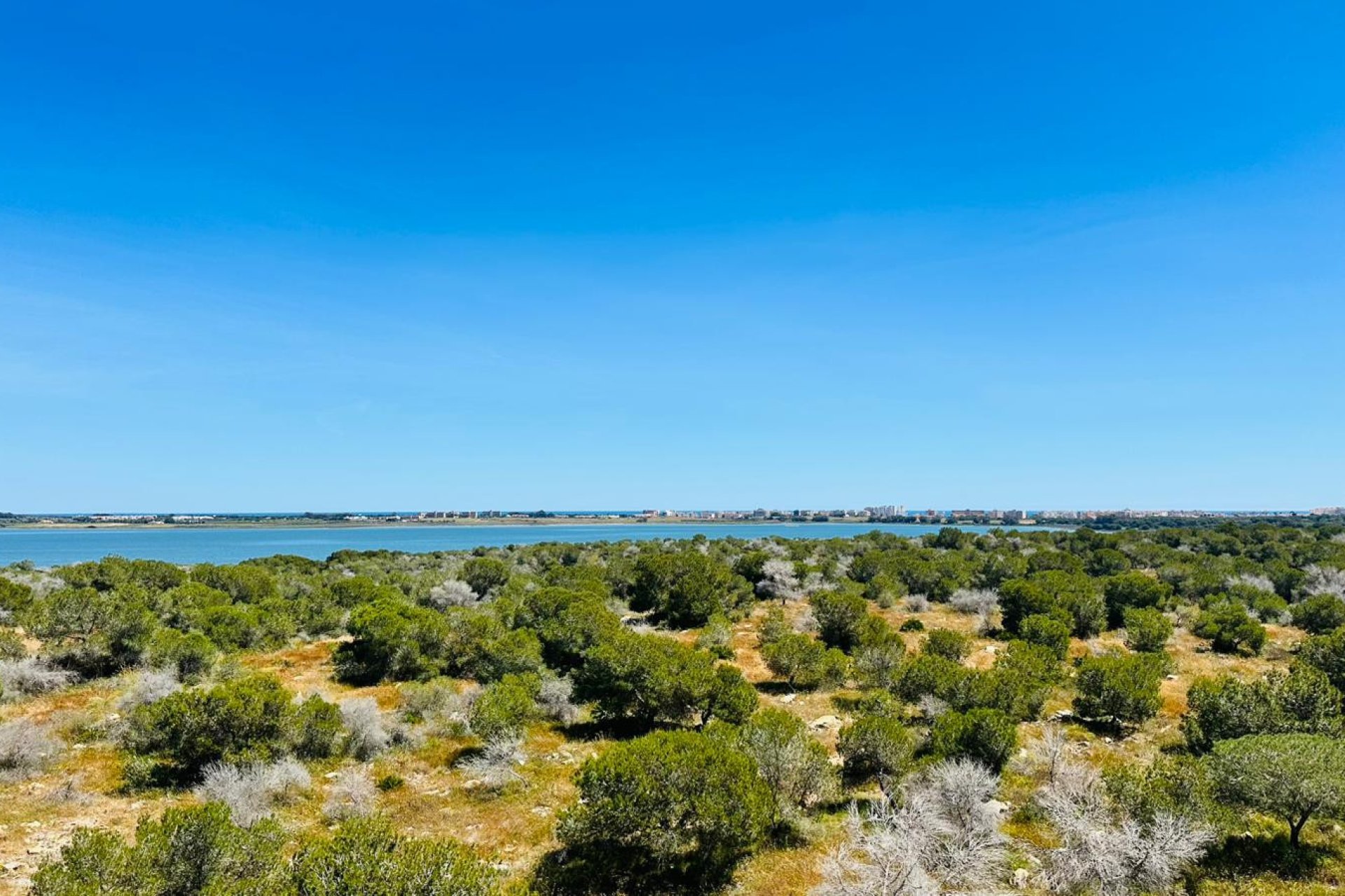 Revente - Appartement -
Torrevieja - Costa Blanca