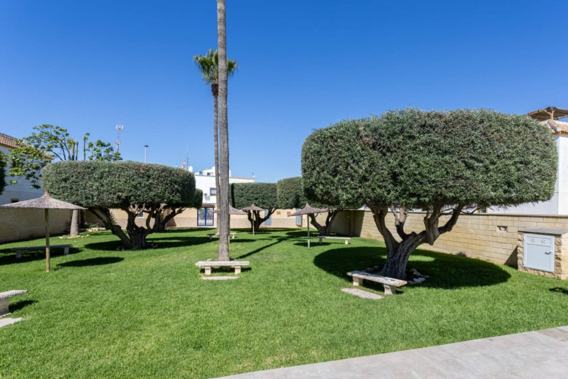 Revente - Appartement -
Torrevieja - Costa Blanca