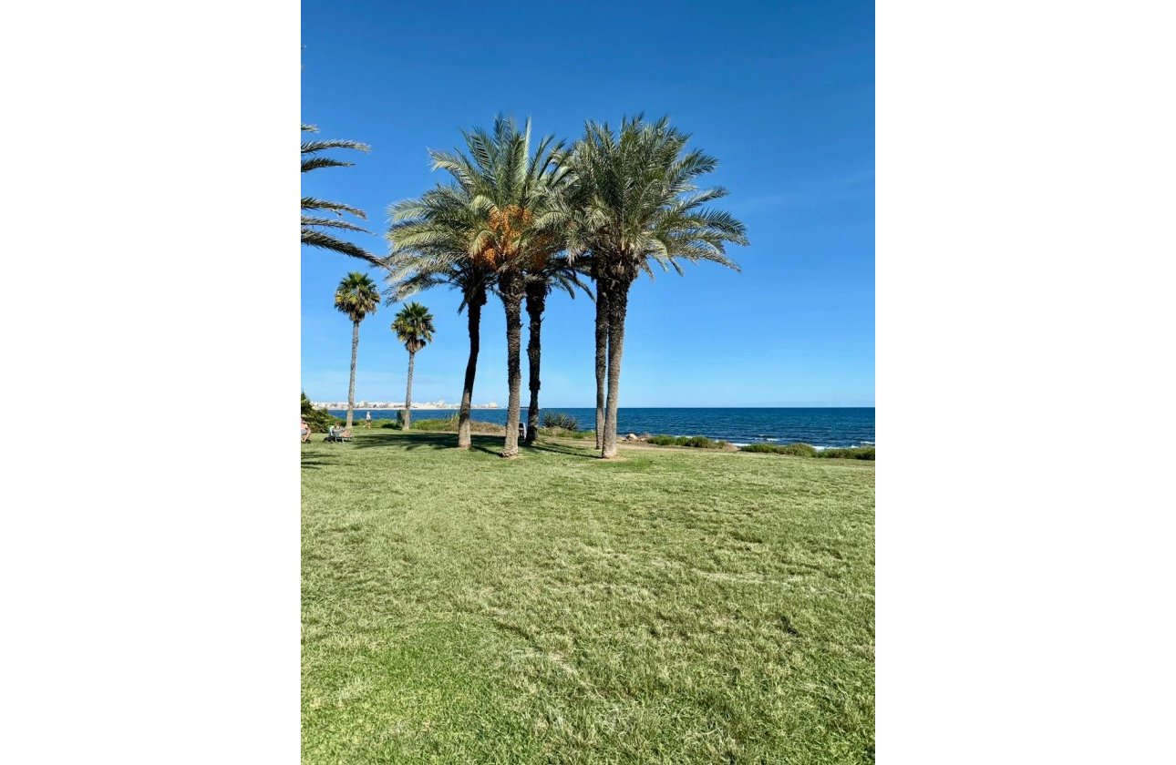 Revente - Appartement -
Torrevieja - Costa Blanca