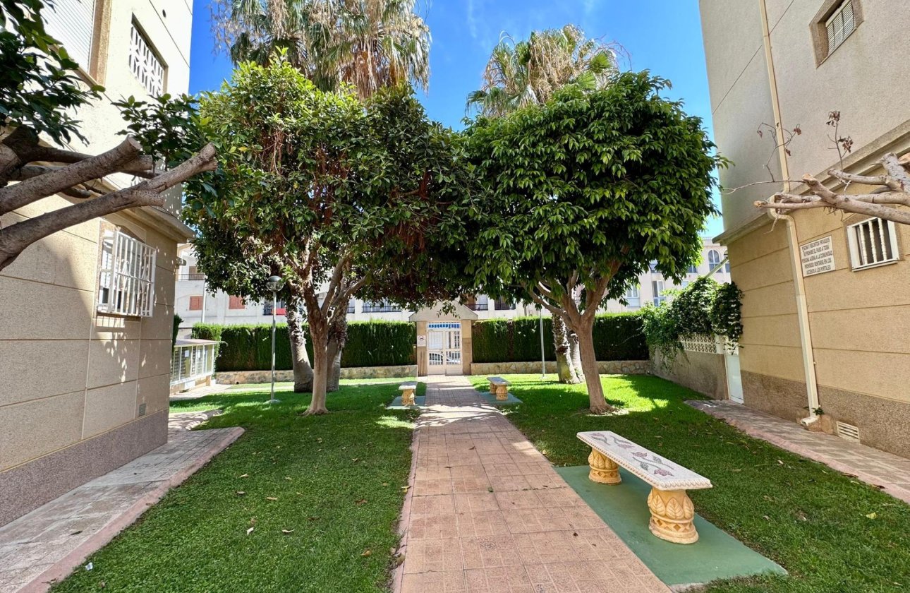 Revente - Appartement -
Torrevieja - Habaneras