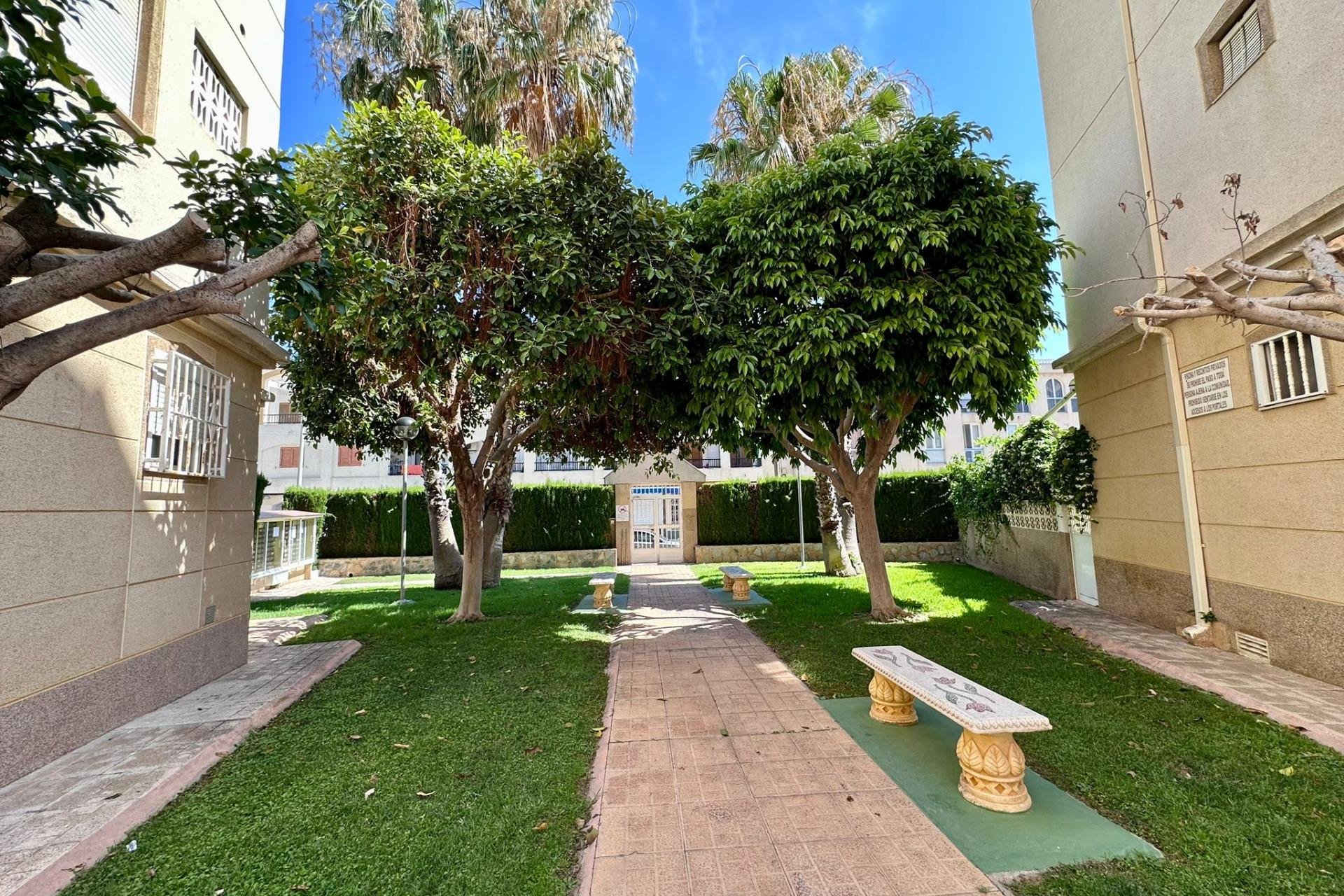 Revente - Appartement -
Torrevieja - Habaneras