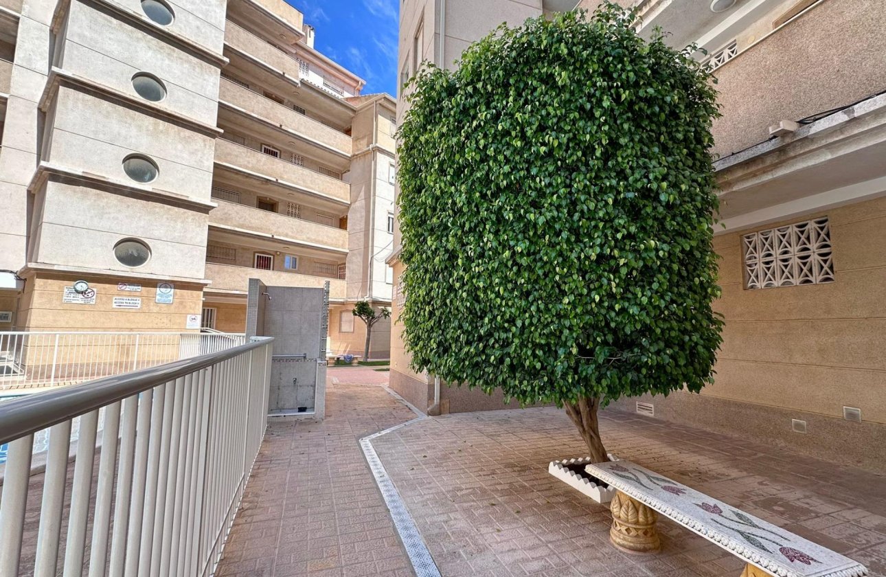 Revente - Appartement -
Torrevieja - Habaneras