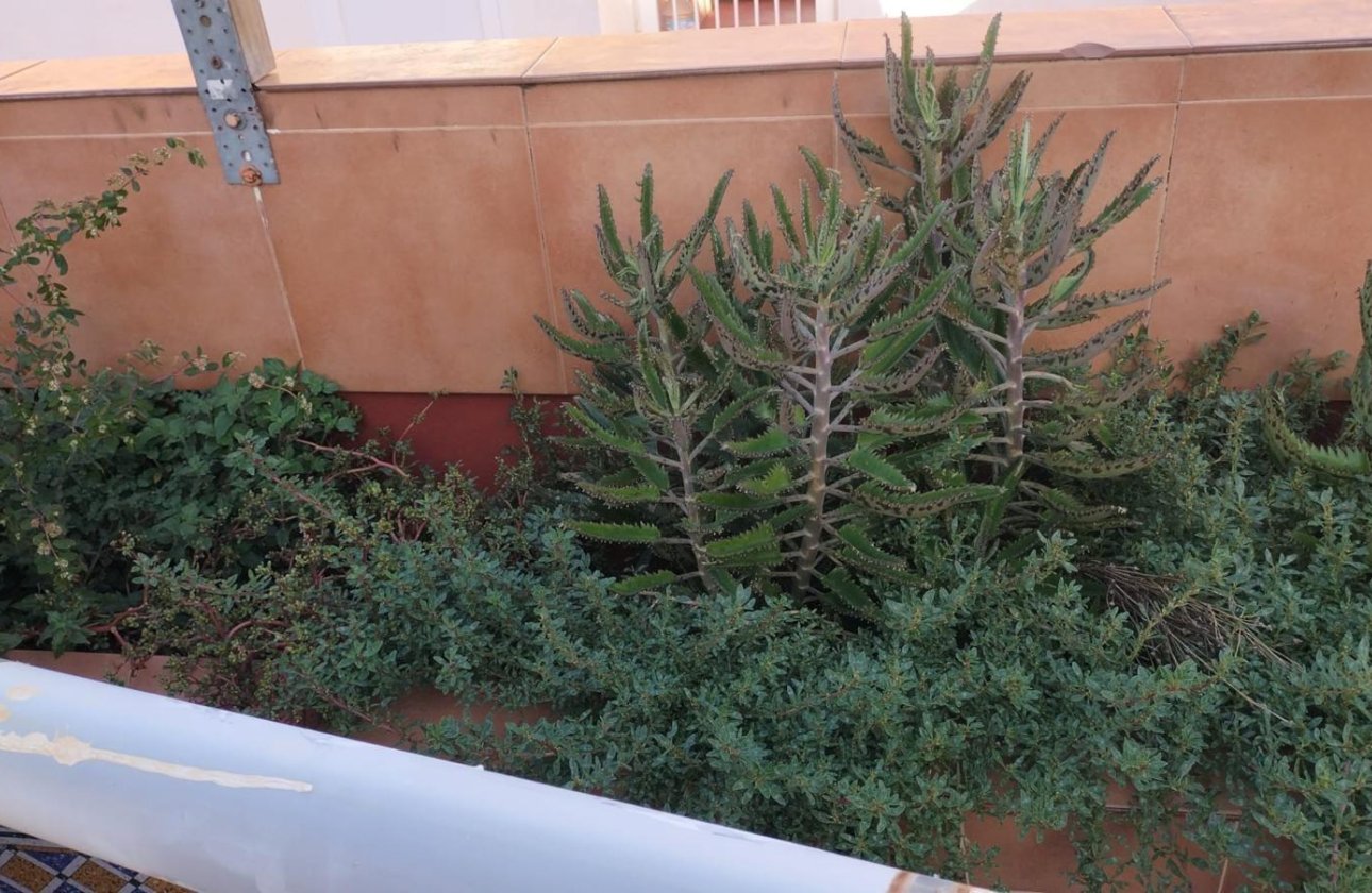 Revente - Appartement -
Torrevieja - La Mata