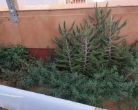 Revente - Appartement -
Torrevieja - La Mata