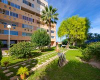 Revente - Appartement -
Torrevieja - La Veleta