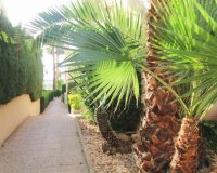 Revente - Appartement -
Torrevieja - La Veleta