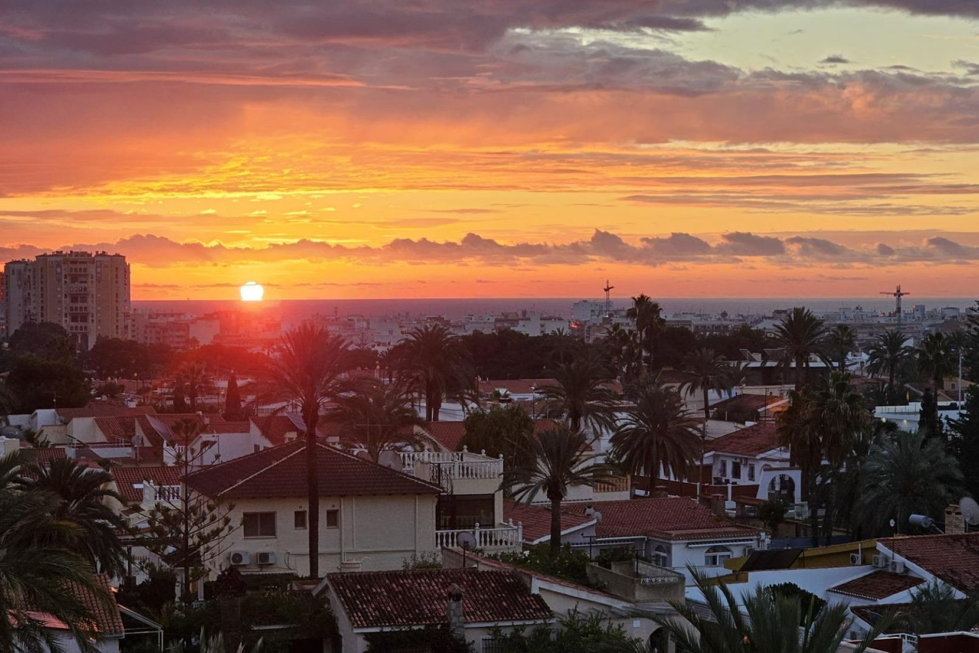 Revente - Appartement -
Torrevieja - Nueva Torrevieja