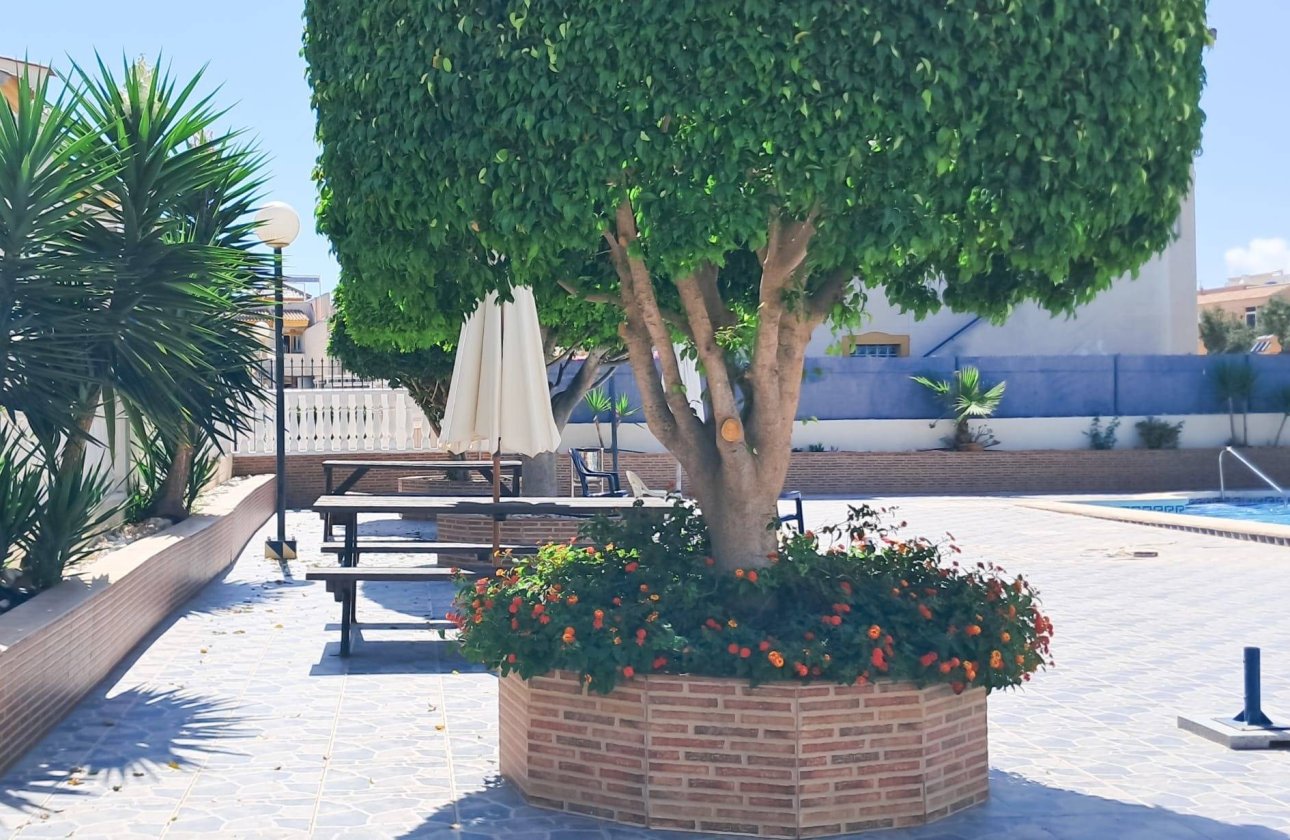 Revente - Appartement -
Torrevieja - Parque Acuático - Sector 25