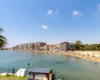 Revente - Appartement -
Torrevieja - PARQUE DE LAS NACIONES