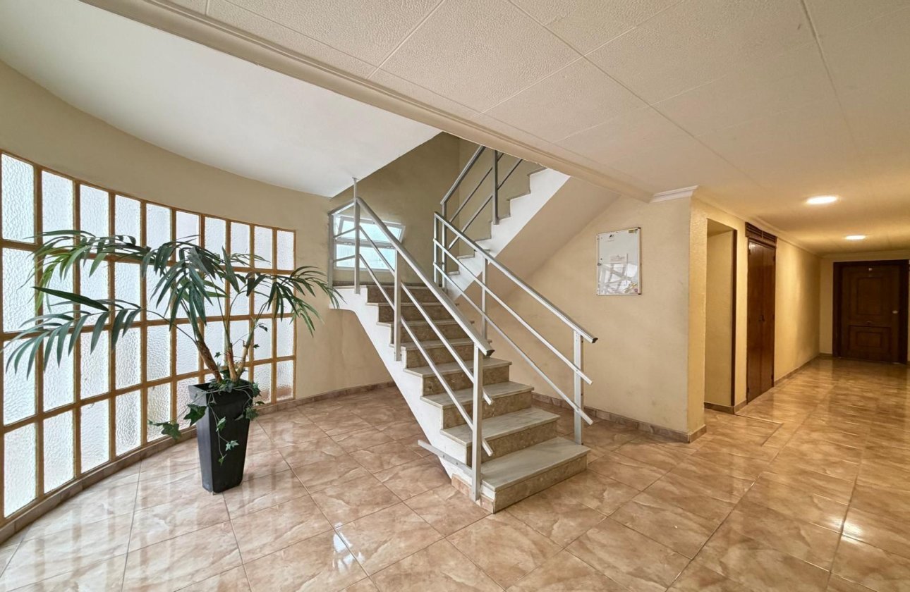 Revente - Appartement -
Torrevieja - Paseo Maritimo