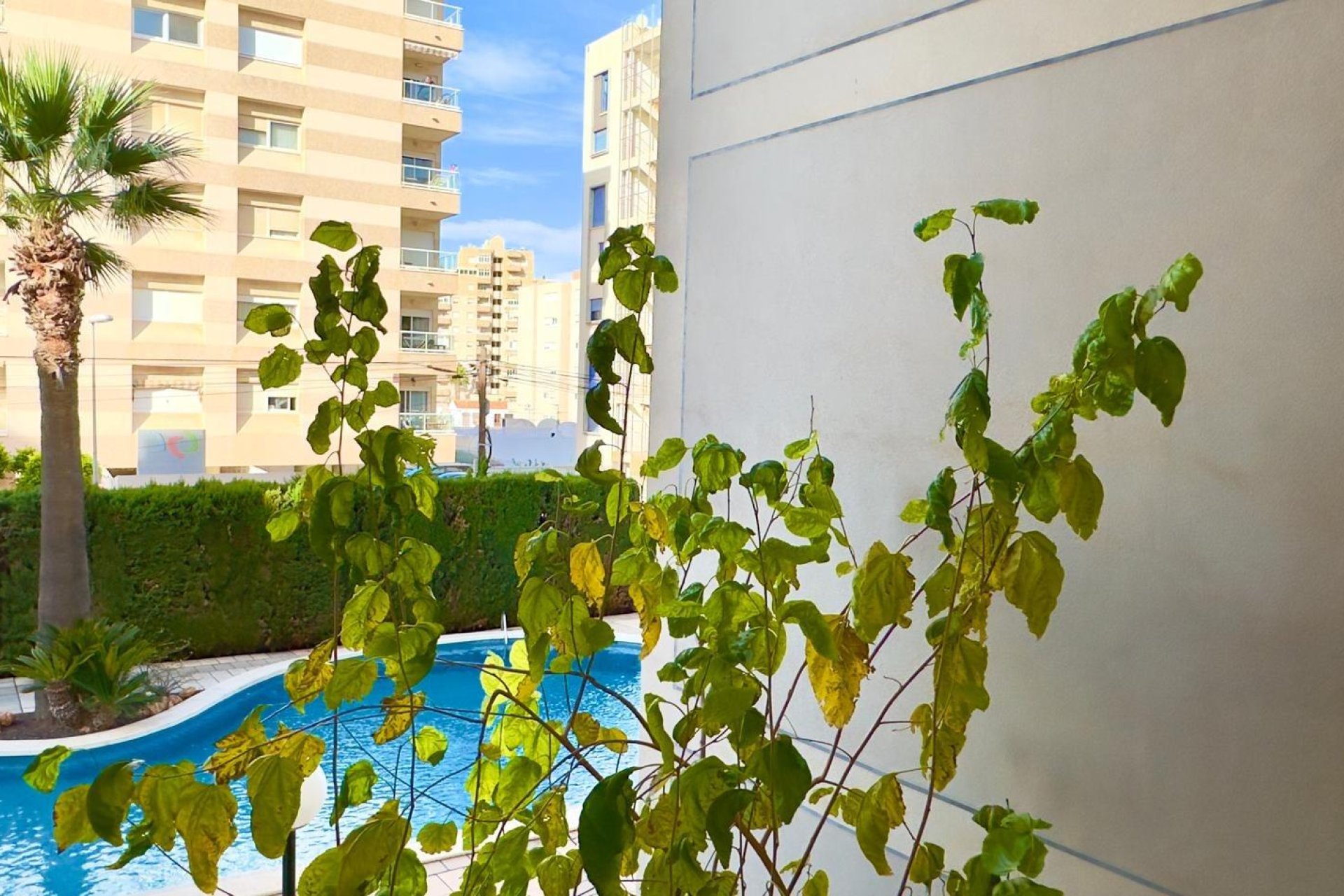 Revente - Appartement -
Torrevieja - Playa del Cura