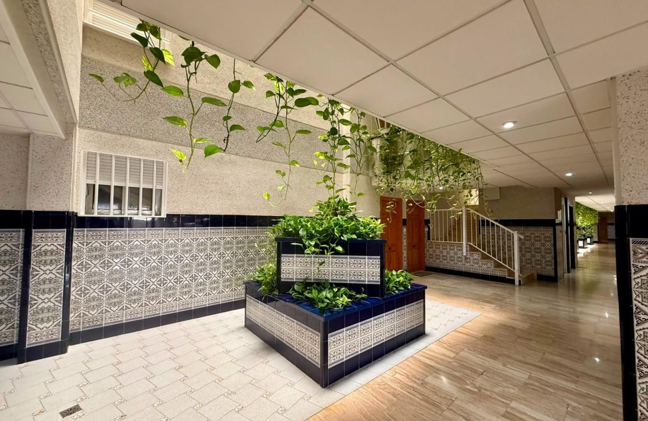 Revente - Appartement -
Torrevieja - Playa del Cura