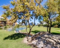 Revente - Appartement -
Torrevieja - Punta Prima