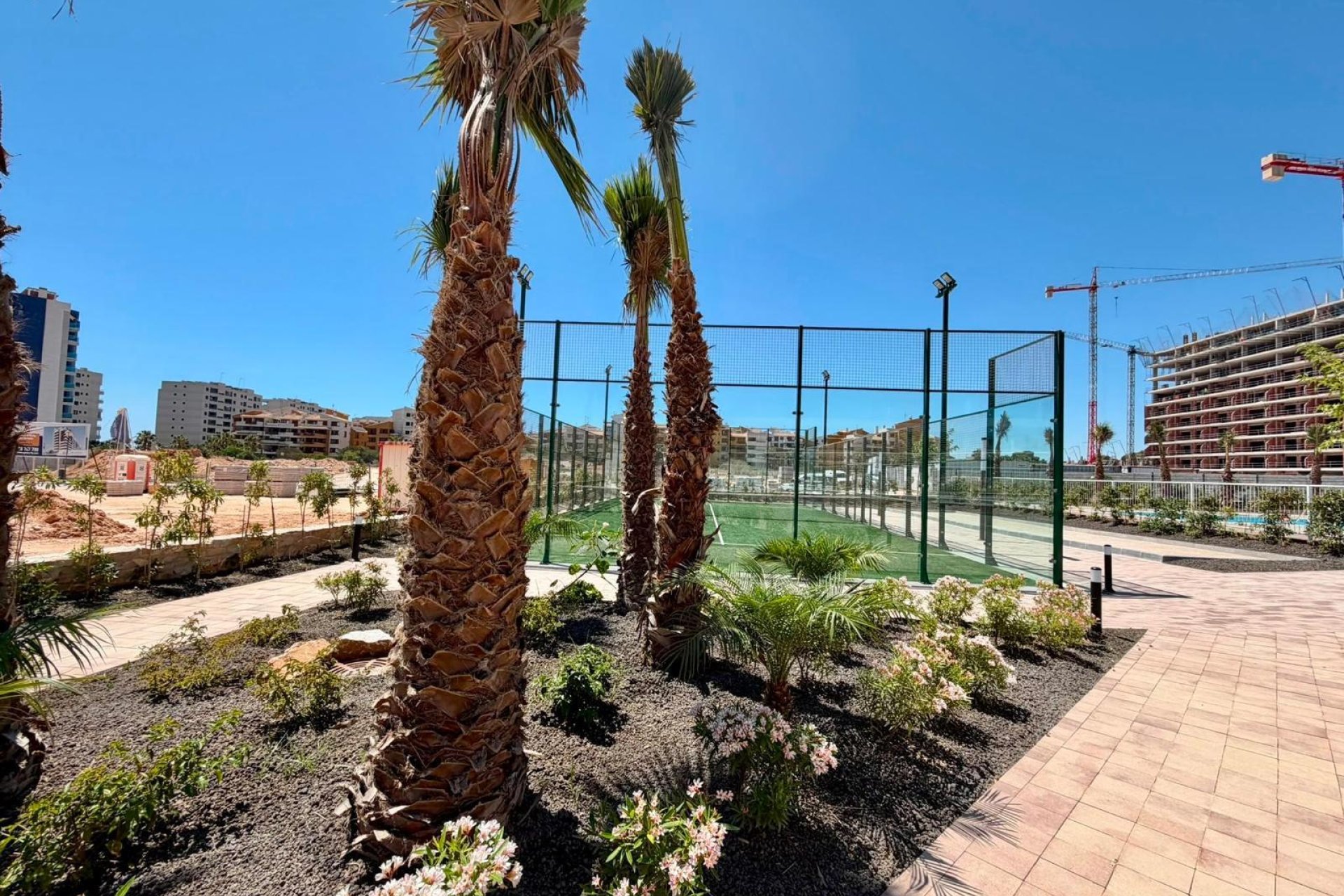 Revente - Appartement -
Torrevieja - Punta Prima
