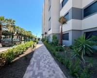 Revente - Appartement -
Torrevieja - Punta Prima