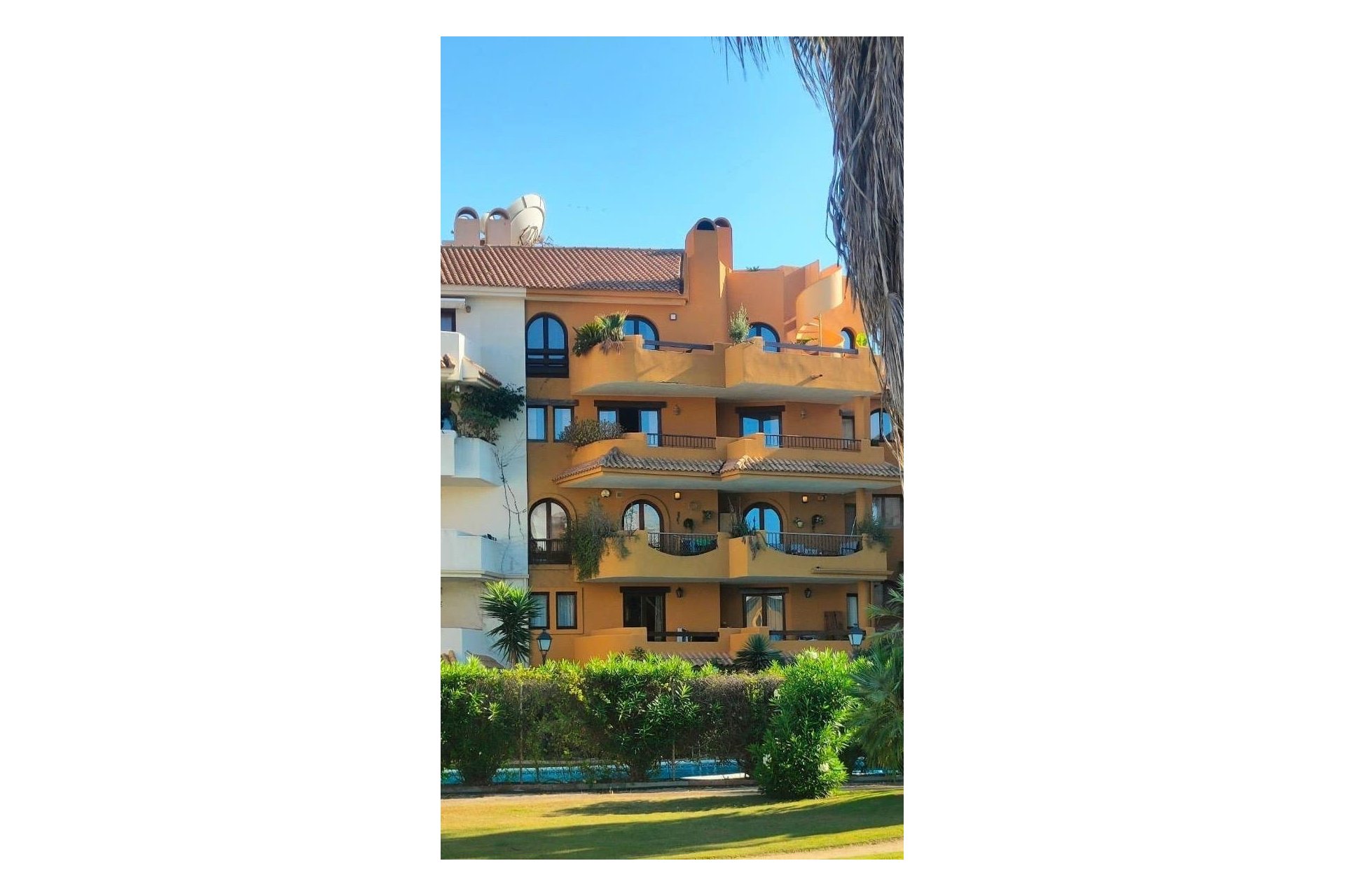 Revente - Appartement -
Torrevieja - Punta Prima