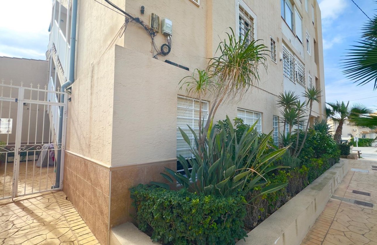Revente - Appartement -
Torrevieja - Zona Los Frutales