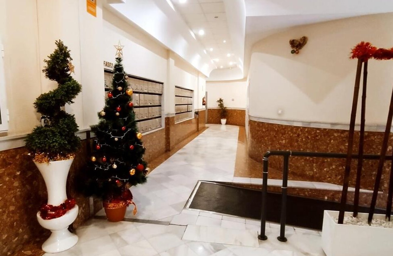 Revente - Appartement -
Torrevieja