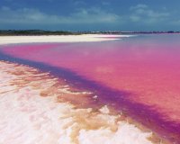 Revente - Appartement -
Villamartin - Costa Blanca