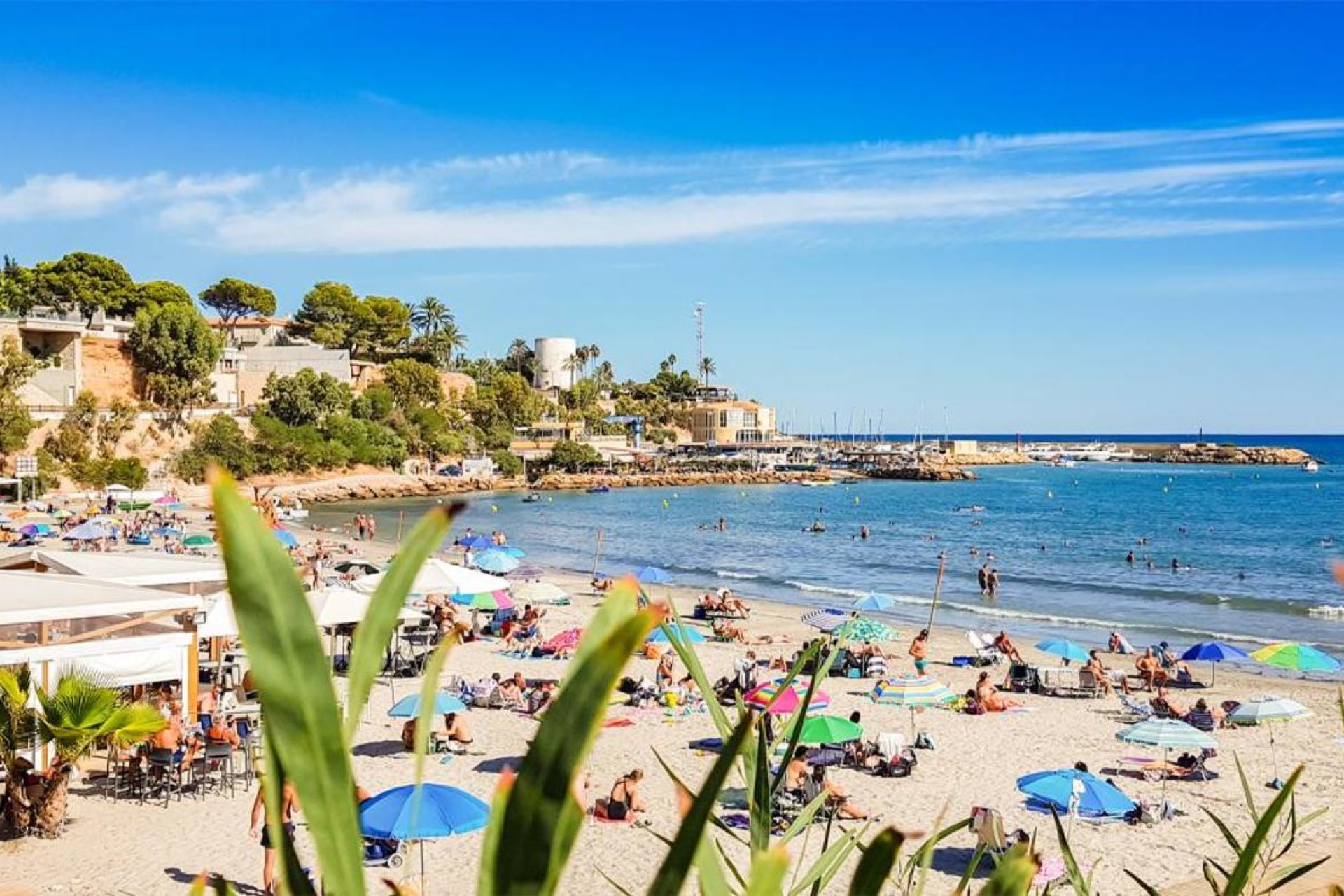 Revente - Appartement -
Villamartin - Costa Blanca