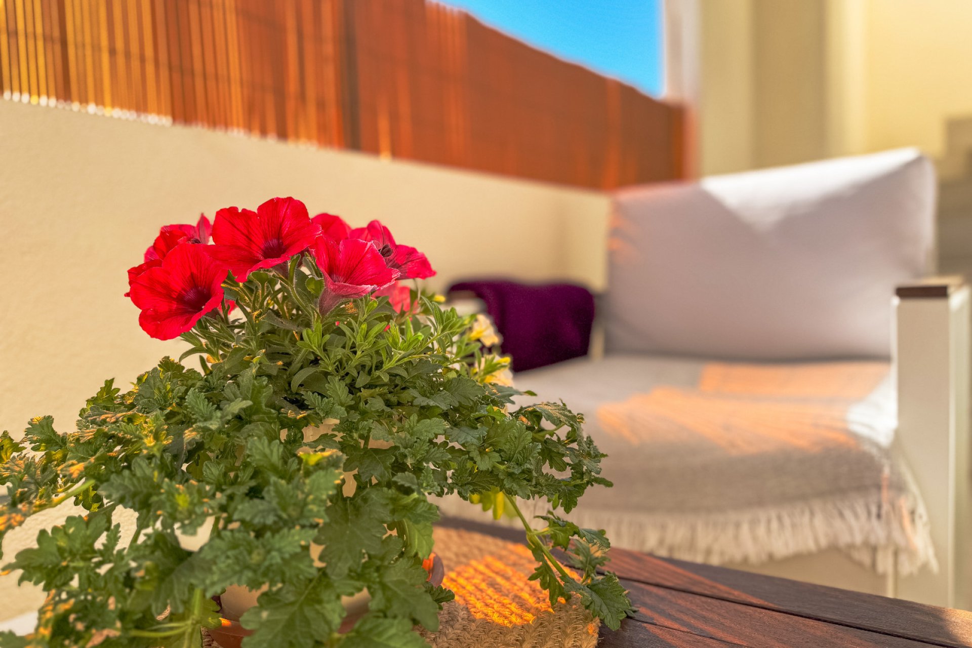 Revente - Bungalow -
Los Altos - Costa Blanca