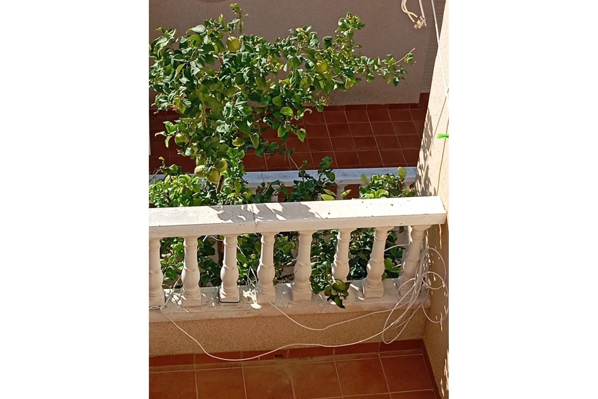 Revente - Bungalow -
Orihuela Costa - PAU 26