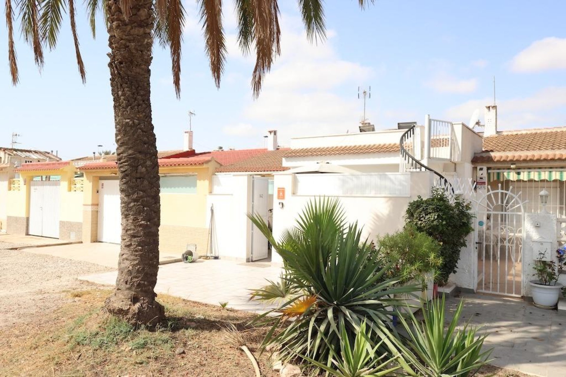 Revente - Bungalow -
Torrevieja - Costa Blanca
