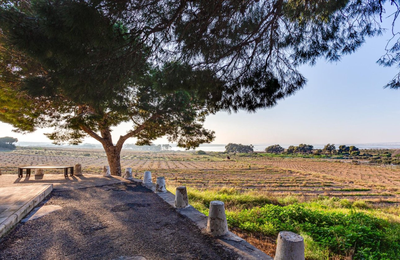 Revente - Bungalow -
Torrevieja - La Siesta - El Salado - Torreta