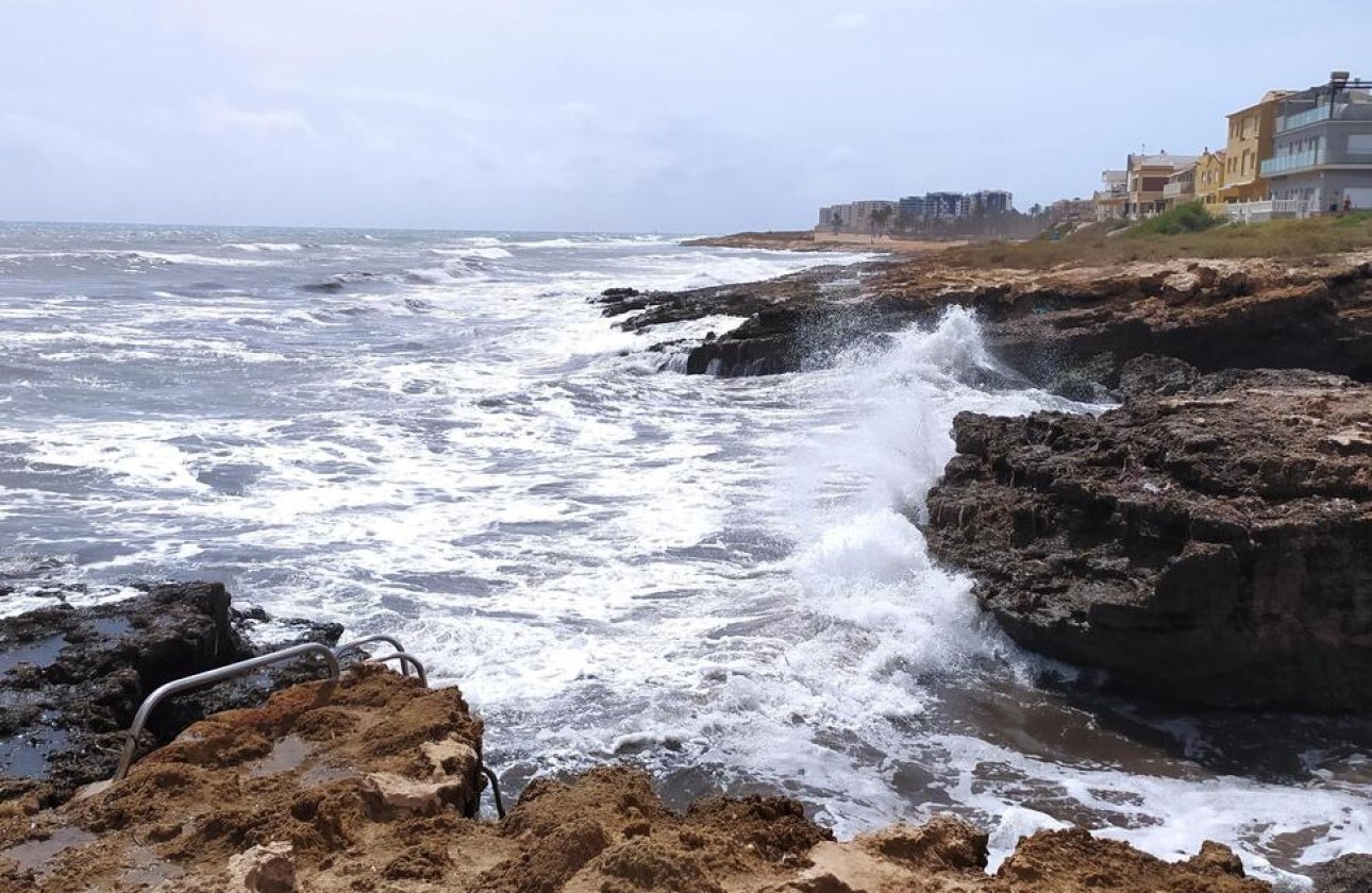 Revente - Bungalow -
Torrevieja - LA VELETA MAR AZUL