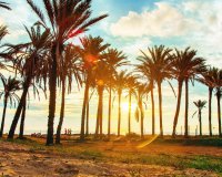 Revente - Bungalow -
Torrevieja - Los Balcones