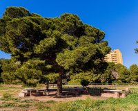 Revente - Dúplex -
Dehesa de Campoamor - Costa Blanca