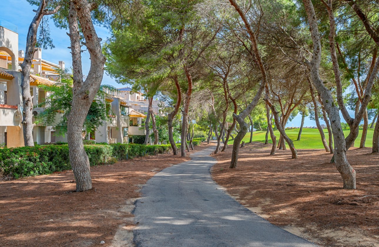 Revente - Duplex Penthouse -
Dehesa de Campoamor - Costa Blanca