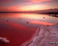 Revente - Dúplex -
Torrevieja - La Siesta