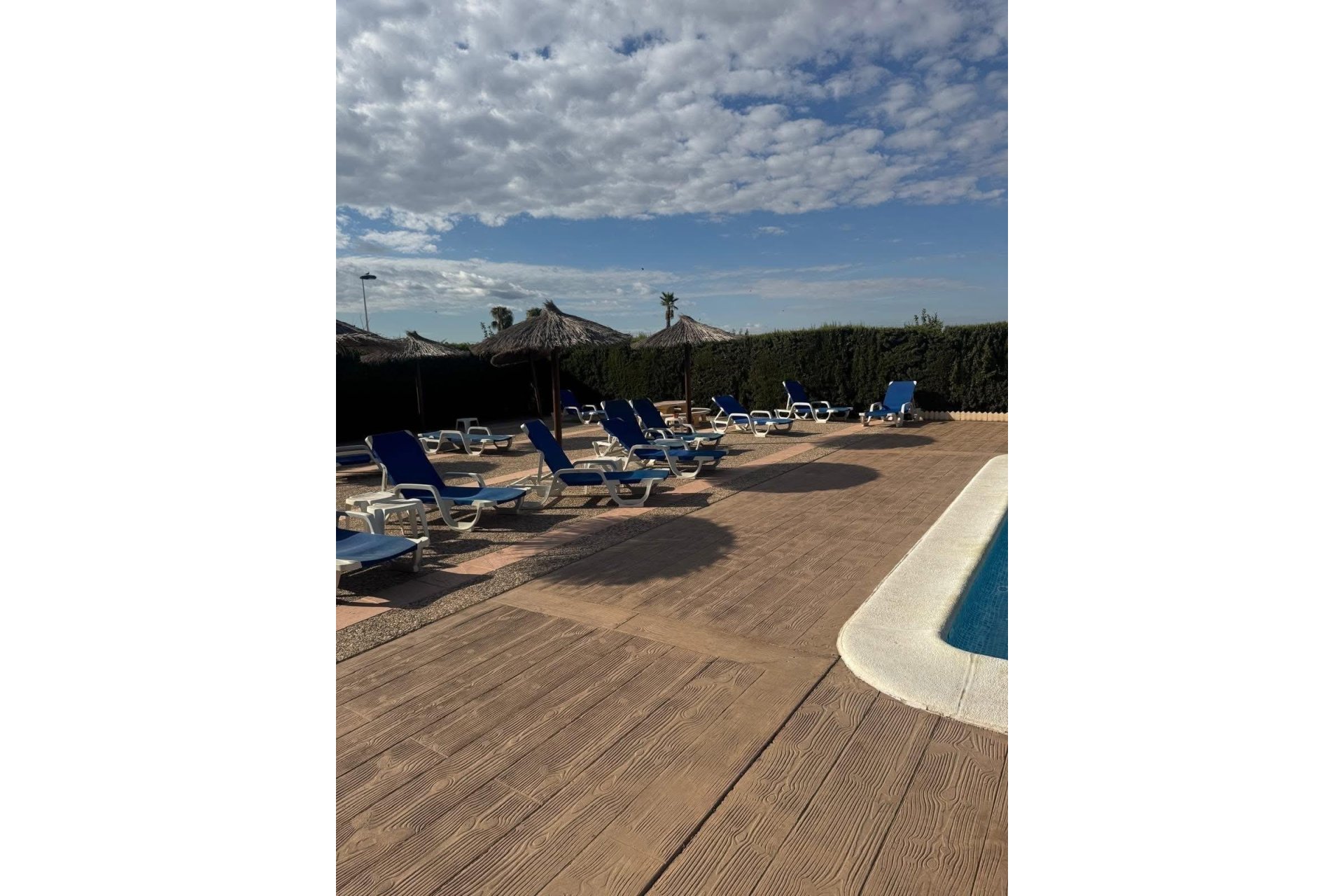 Revente - Dúplex -
Torrevieja - Torreblanca