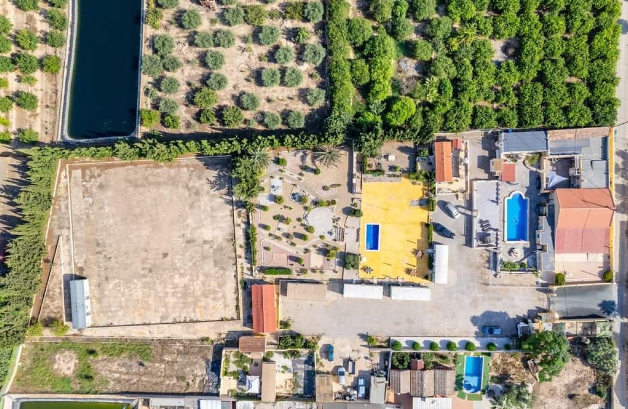 Revente - Finca -
Los Montesinos - Costa Blanca